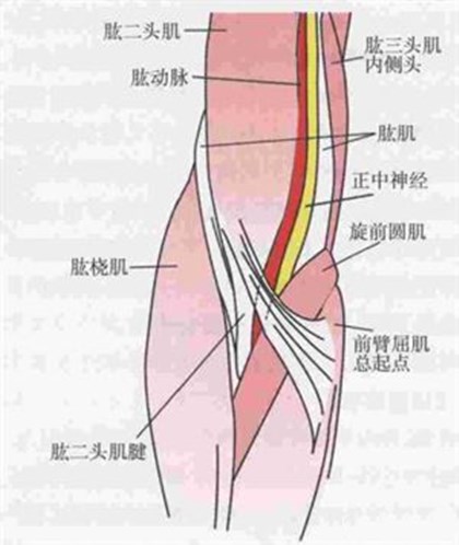 淺談?wù)猩窠?jīng)損傷的臨床表現(xiàn)